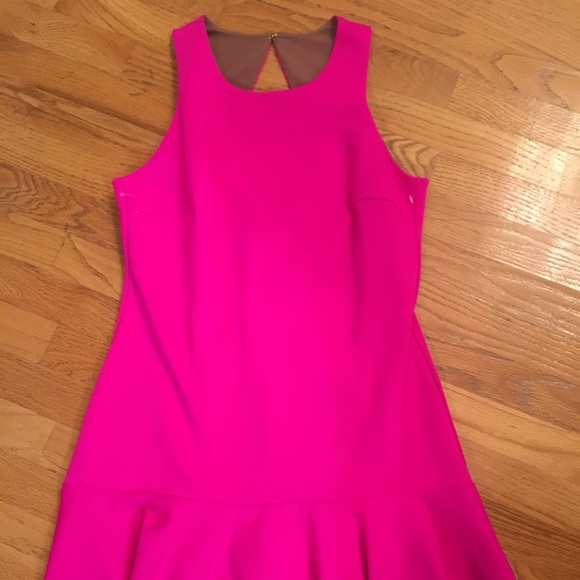 Trina Turk Scuba Drop Waist Dress PINK Sz 10 NEW - Picture 4 of 8